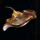 Loreleis Pearls Paytable SYmbol 7