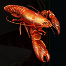 Loreleis Pearls Paytable SYmbol 8